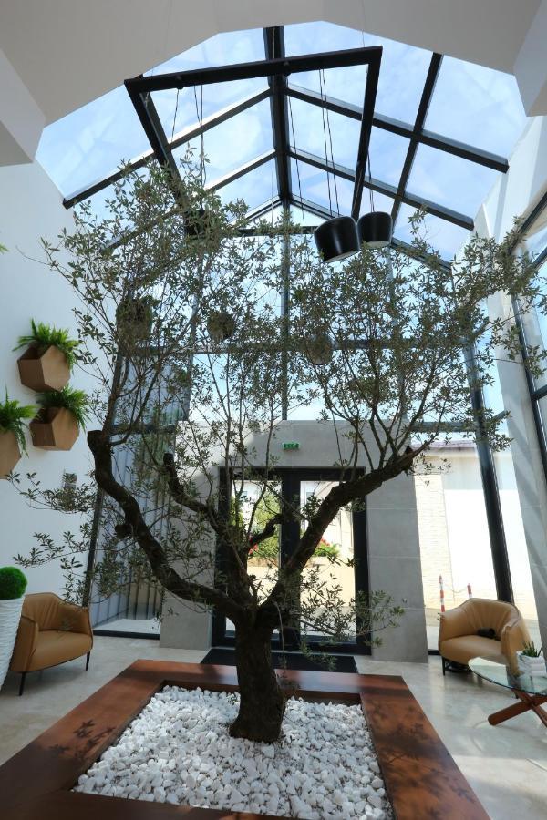 Valentino Rooms Focşani 외부 사진